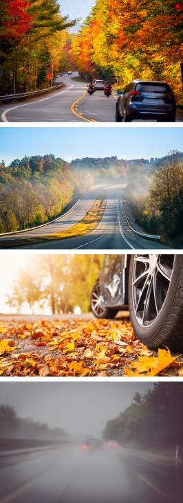 Driving Tips for Seasonal Hazards